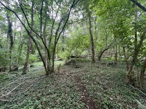 Photo 5- click for photo gallery